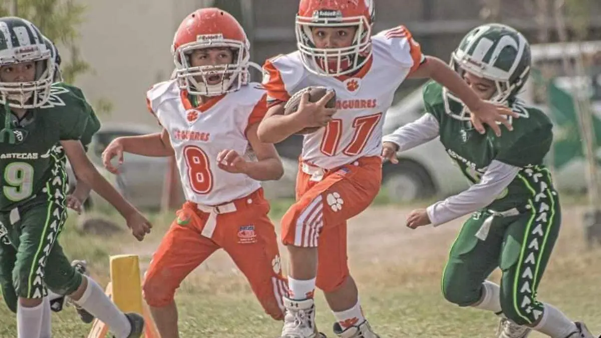 Jaguares