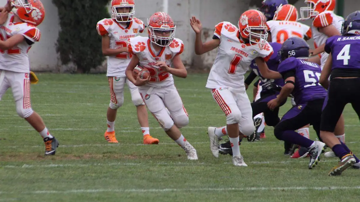 Semifinales de la AFAIL