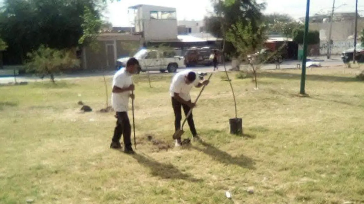 CAMPOS 3 (2)