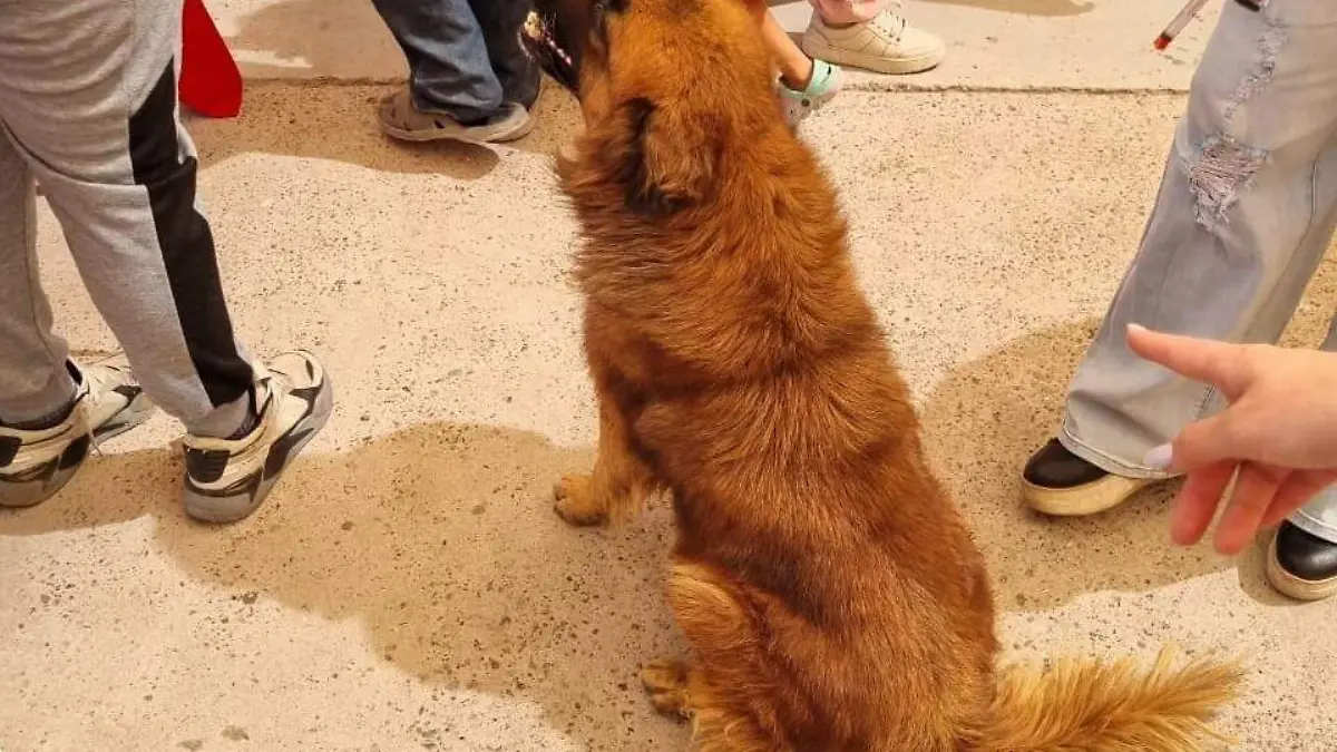 Esterilización