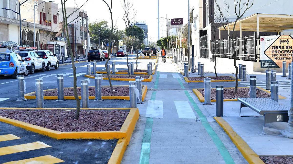 CAMPOS 3