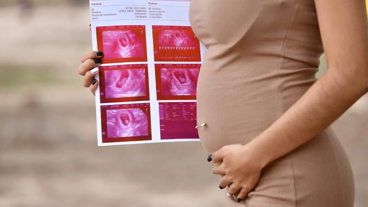 WhatsApp Image 2024-11-27 at 13.46.48