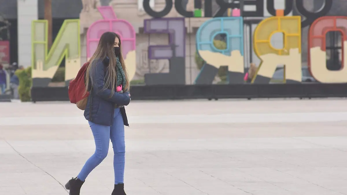 WhatsApp Image 2024-11-25 at 13.17.33