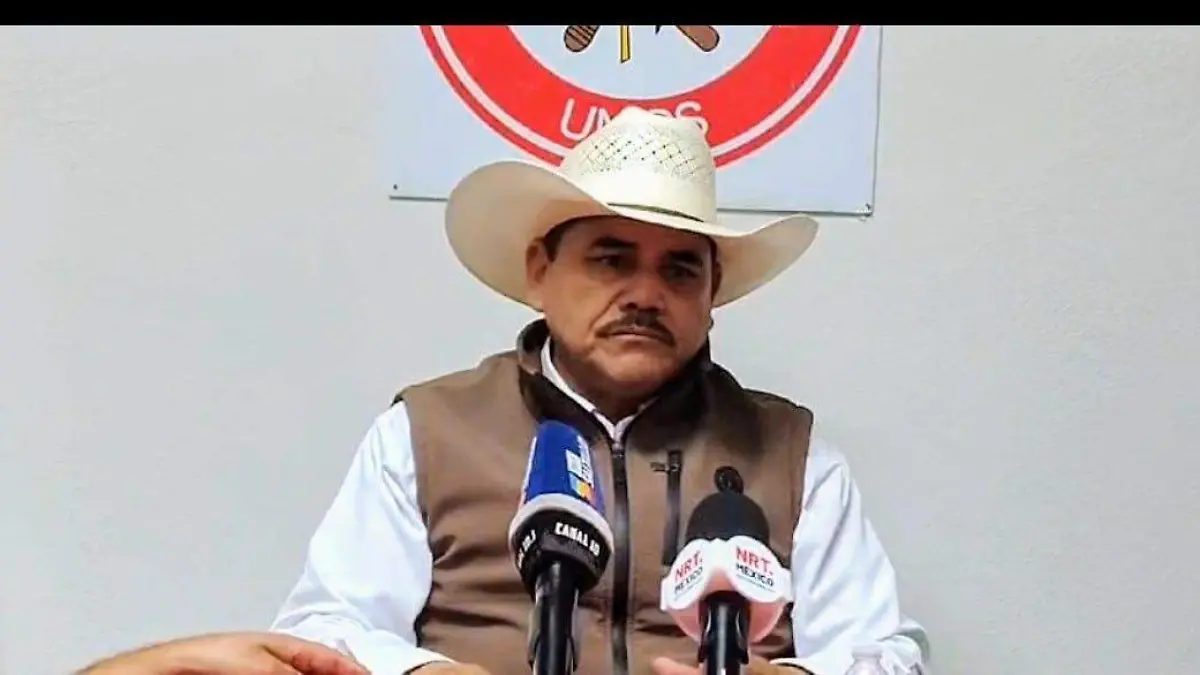 WhatsApp Image 2024-11-20 at 12.04.13