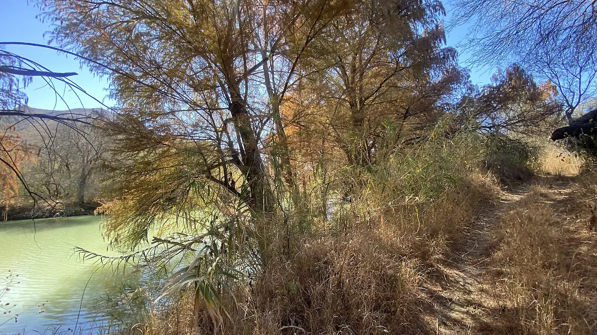 Razer continúan afectando los parajes naturales de Lerdo