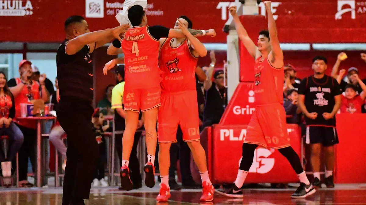 WhatsApp Image 2025-02-08 at 23.09.18