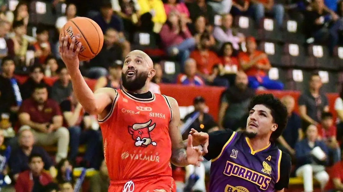 Toros laguna