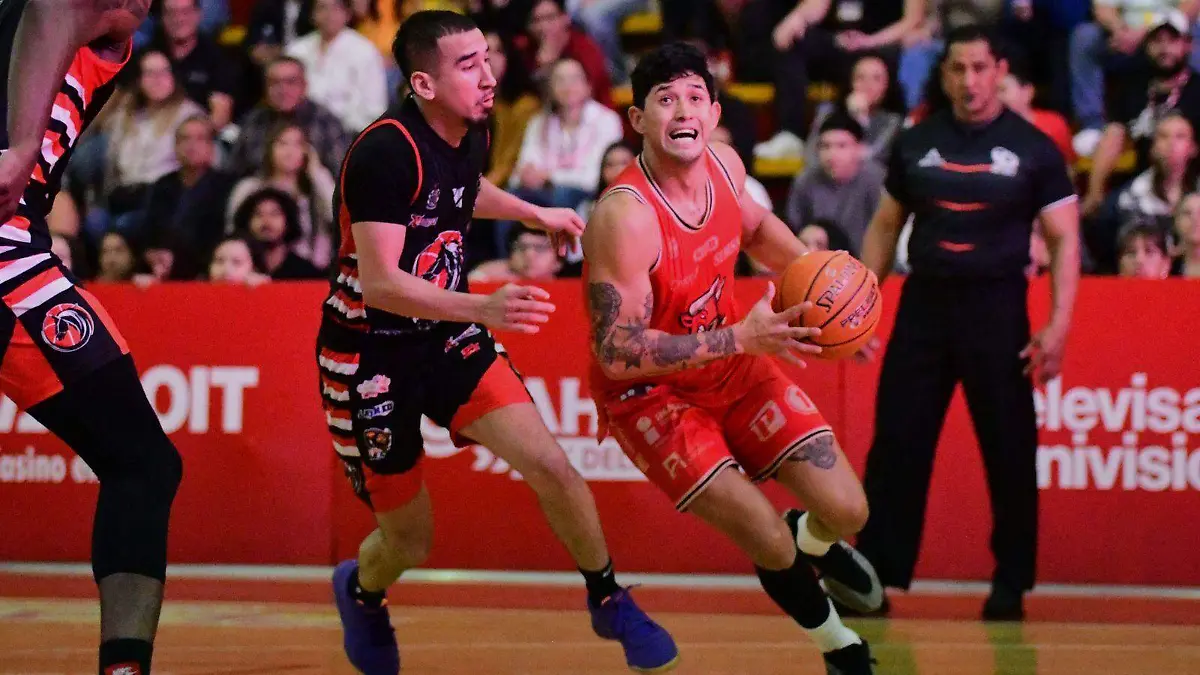 WhatsApp Image 2025-02-28 at 23.56.42