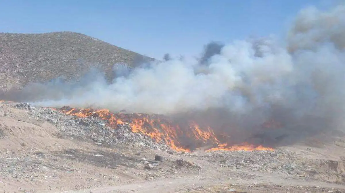 WhatsApp Image 2025-03-08 at 12.51.01