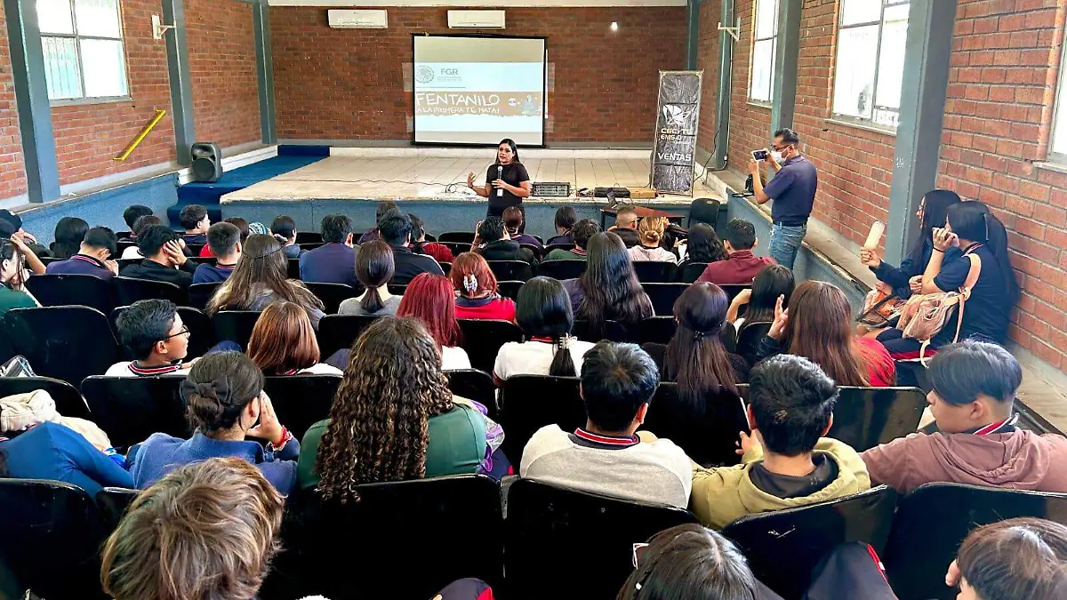 WhatsApp Image 2025-03-20 at 11.17.54