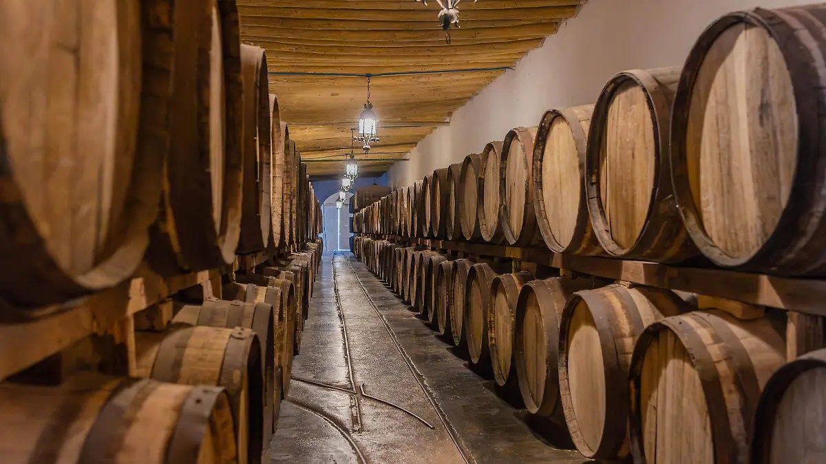 Parras de la Fuente Barracas vino