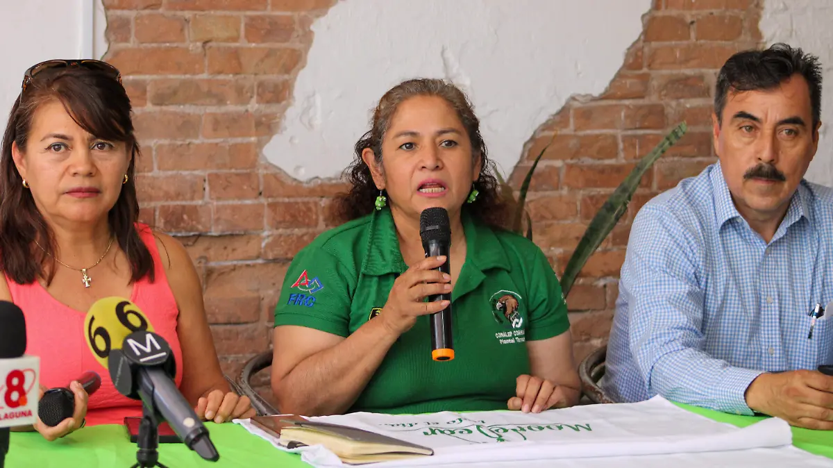 Programa ‘Vamos a Moorelear’.