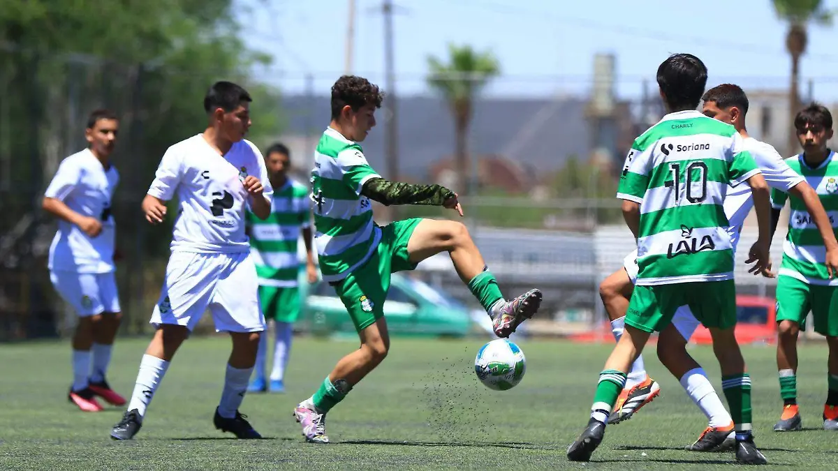 CAMPOS 7 (2)
