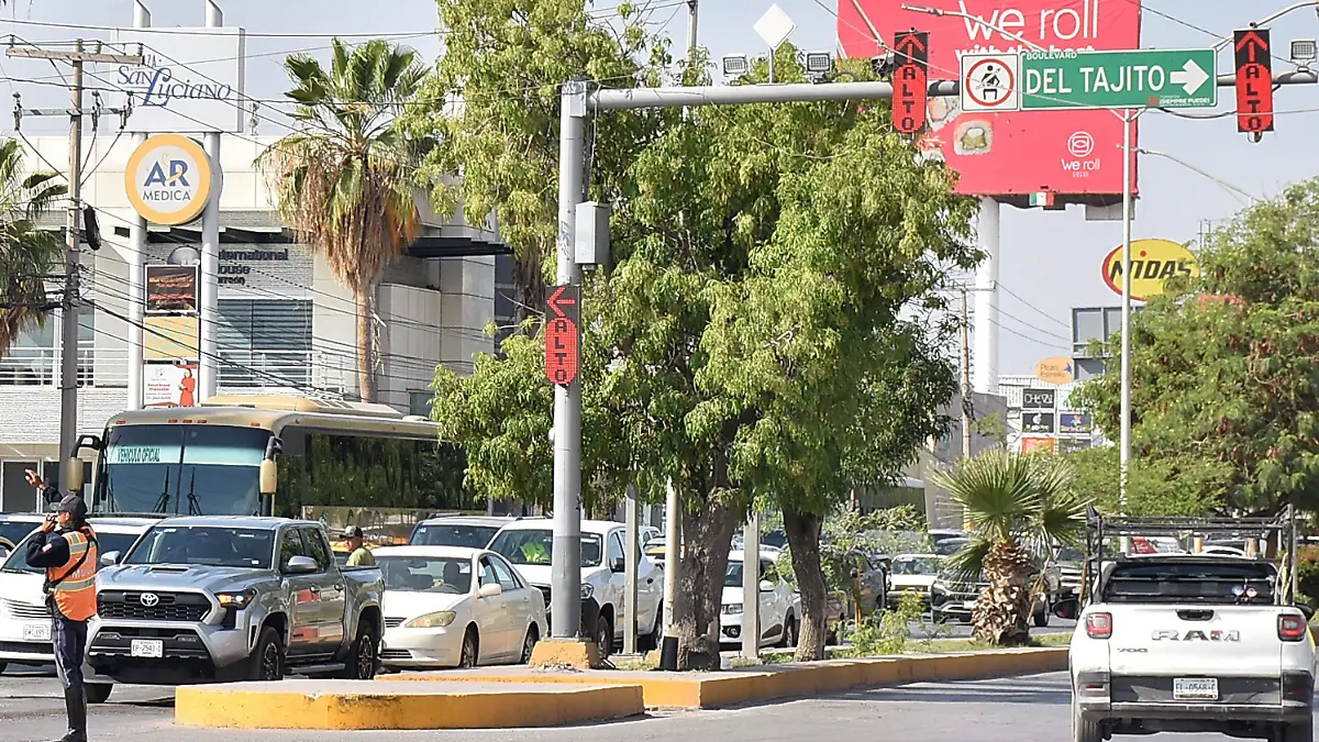 CAMPOS 2 (2)