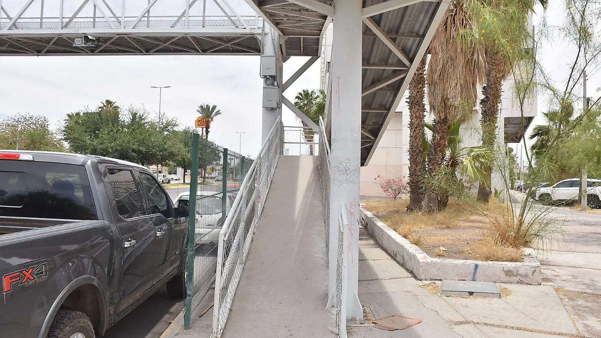 CAMPOS 5 (3)