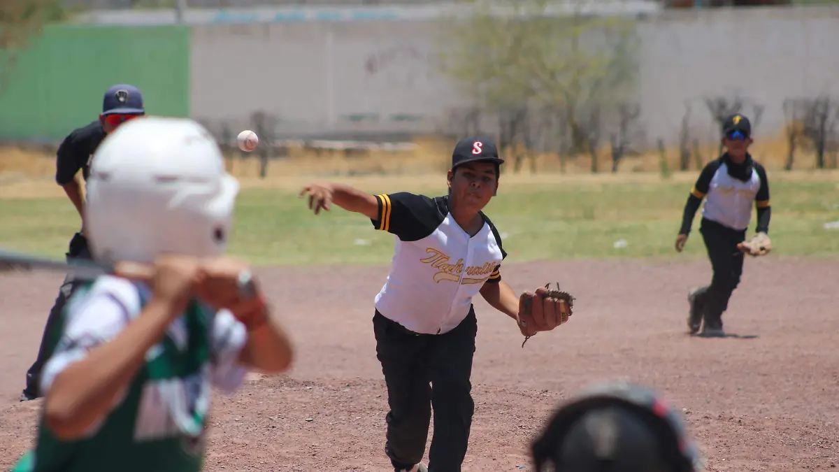 solis 24
