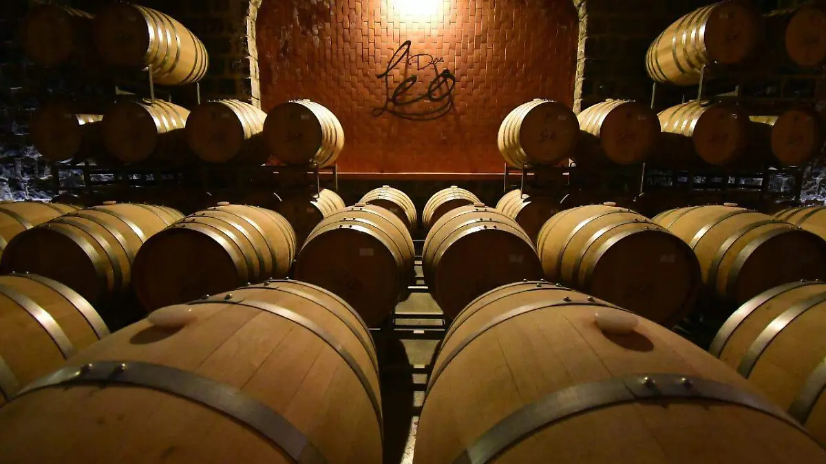 Viñedo