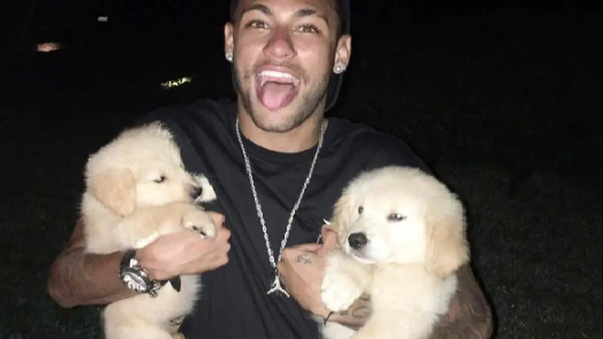 Neymar-perros