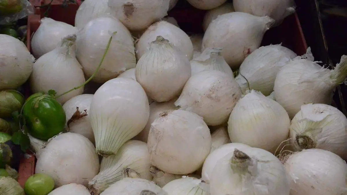 Este a_o se prev_ la venta de producci_n de cebolla a bajo costo.  Archivo  El Sol de