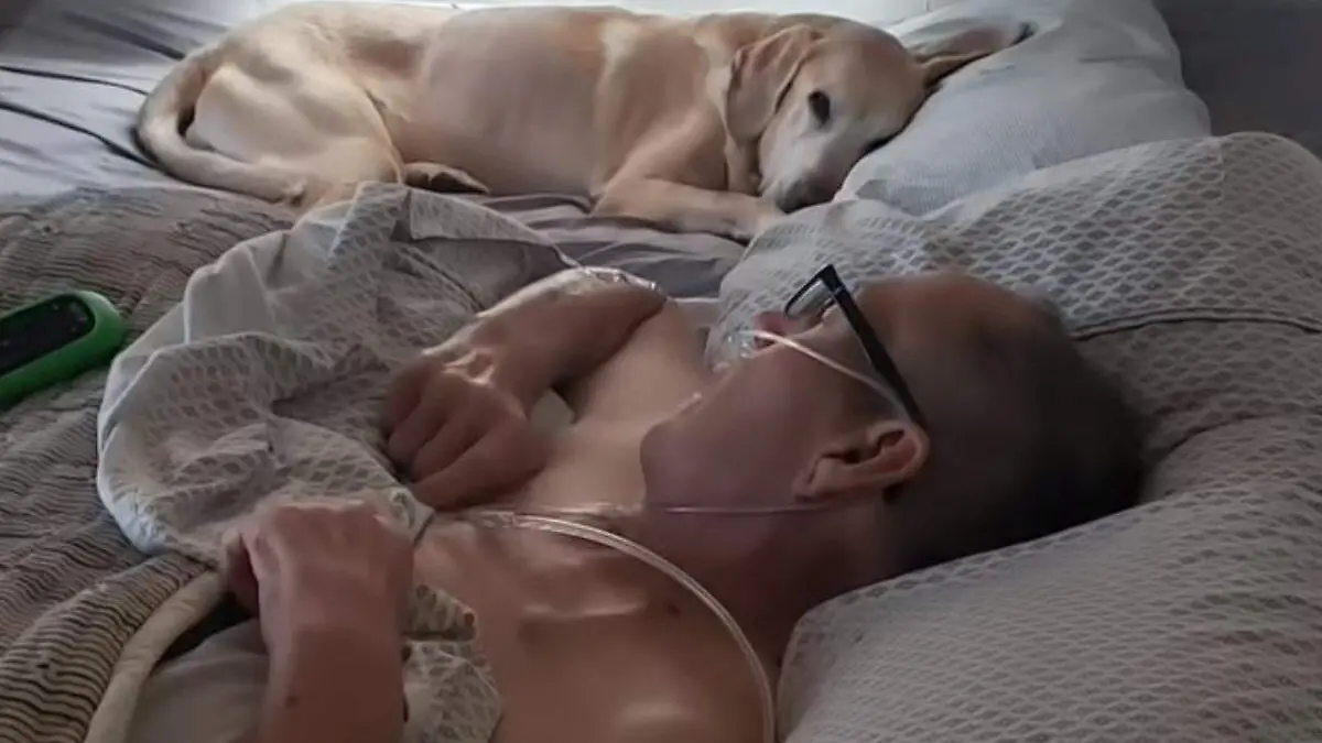 perro y dueño mueren