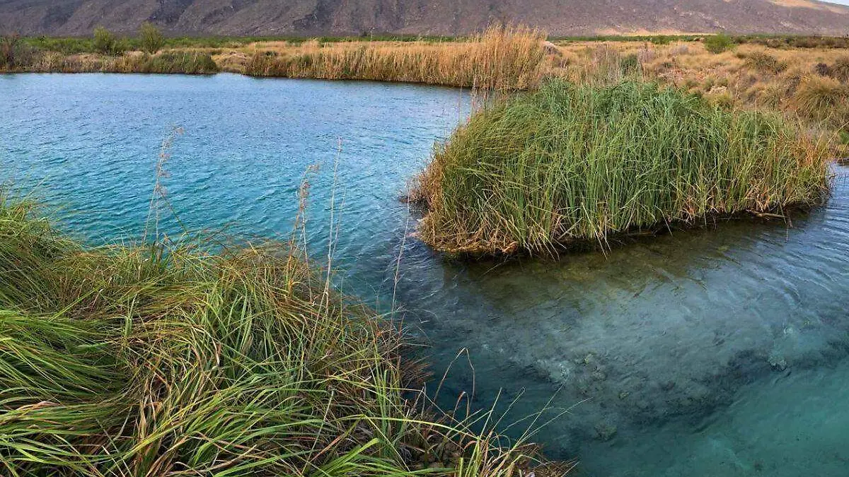 humedales-de-Cuatro-Ciénegas