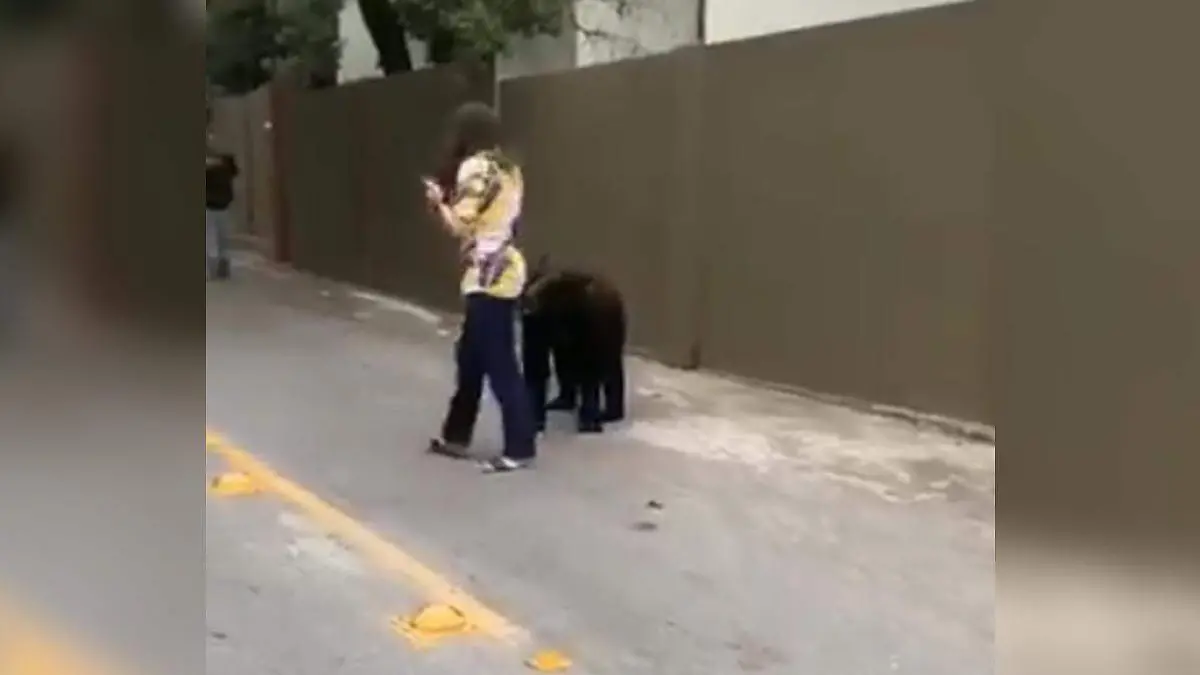 oso