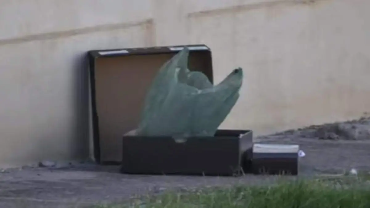bebé abandonado