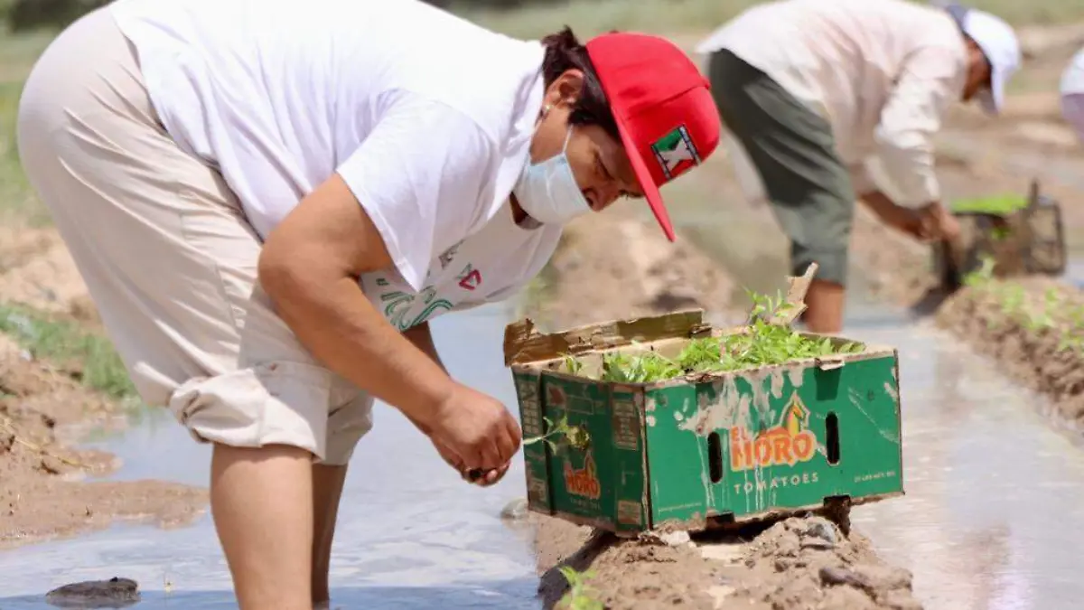 WhatsApp Image 2022-08-23 at 11.18.47 AM