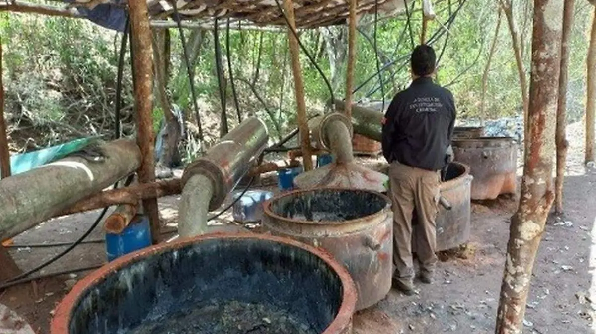 Aseguran narcolaboratorio en el poblado La Cañada