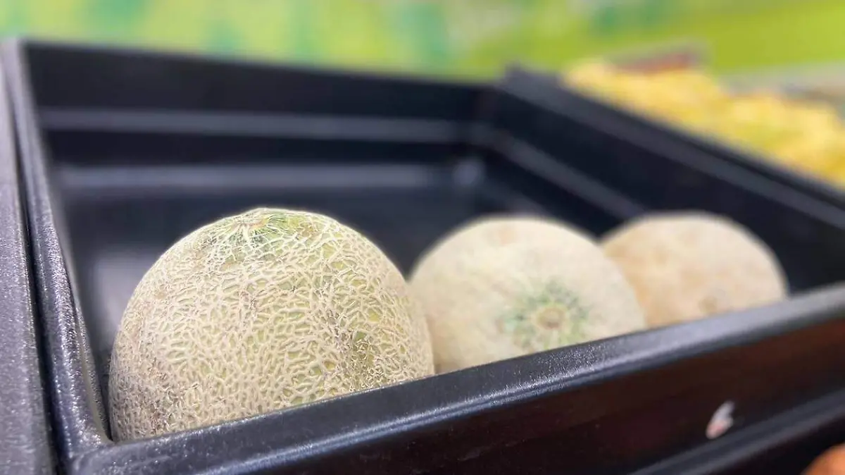 Melón-Matamoros-ventas
