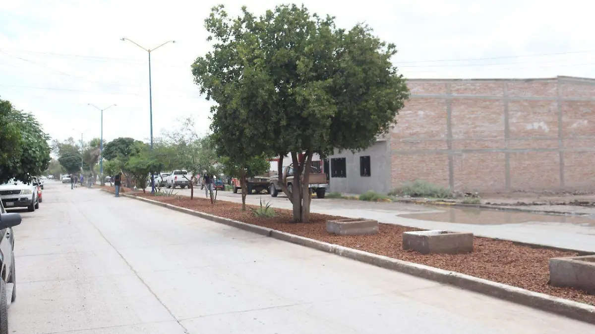 WhatsApp Image 2021-08-09 at 2.25.05 PM