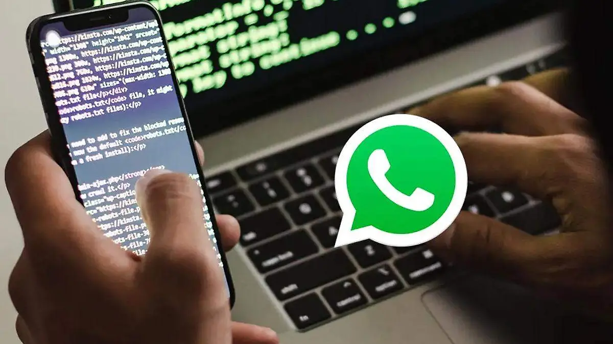 robo-por-whatsapp