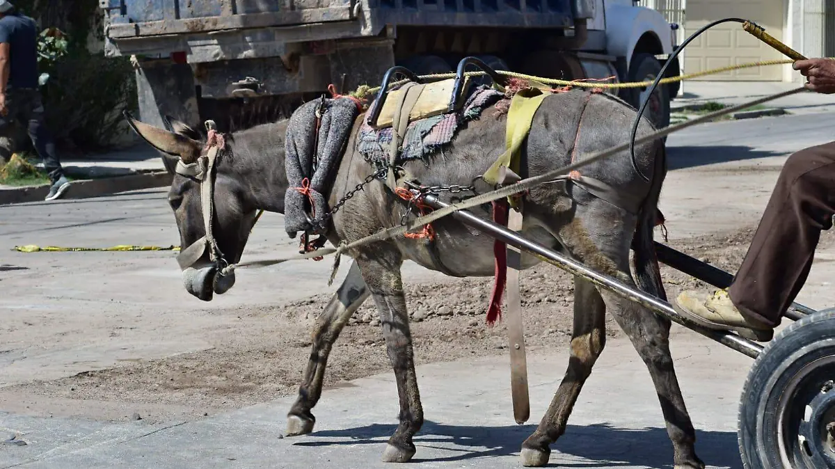 WhatsApp Image 2021-04-19 at 12.07.34 PM