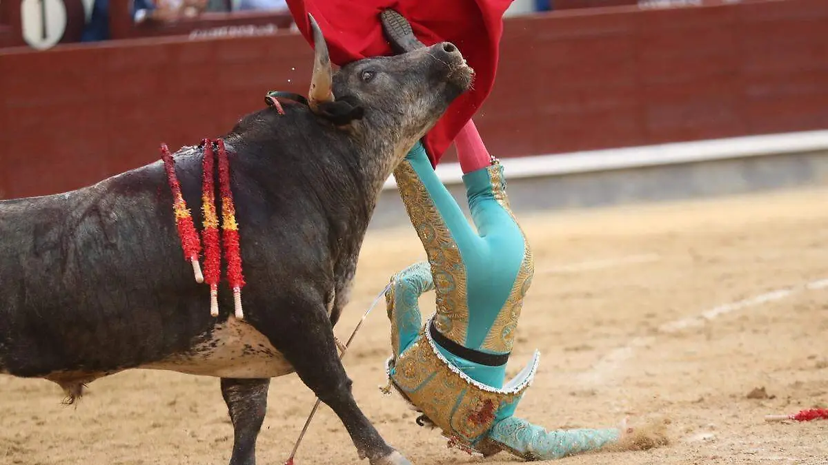 WhatsApp Image 2022-05-09 at 3.20.16 PM