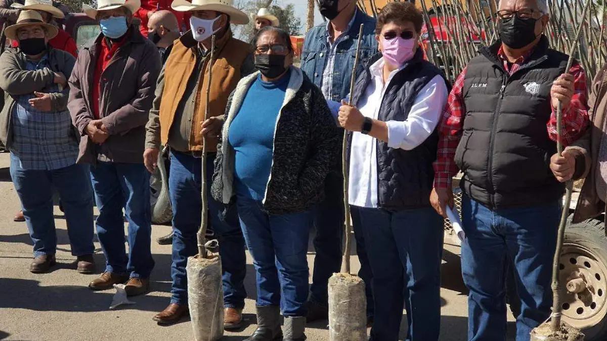 WhatsApp Image 2021-02-17 at 2.55.09 PM