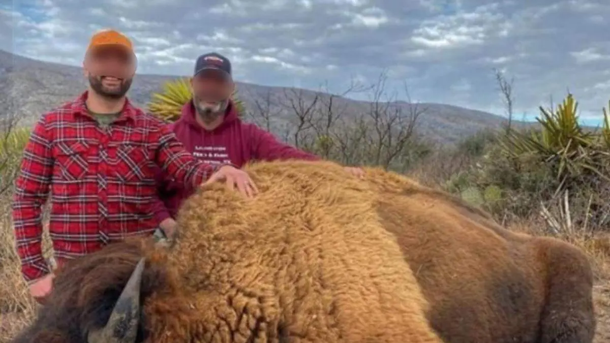 caza-de-bisontes-en-coahuila-rancho-buena-vista