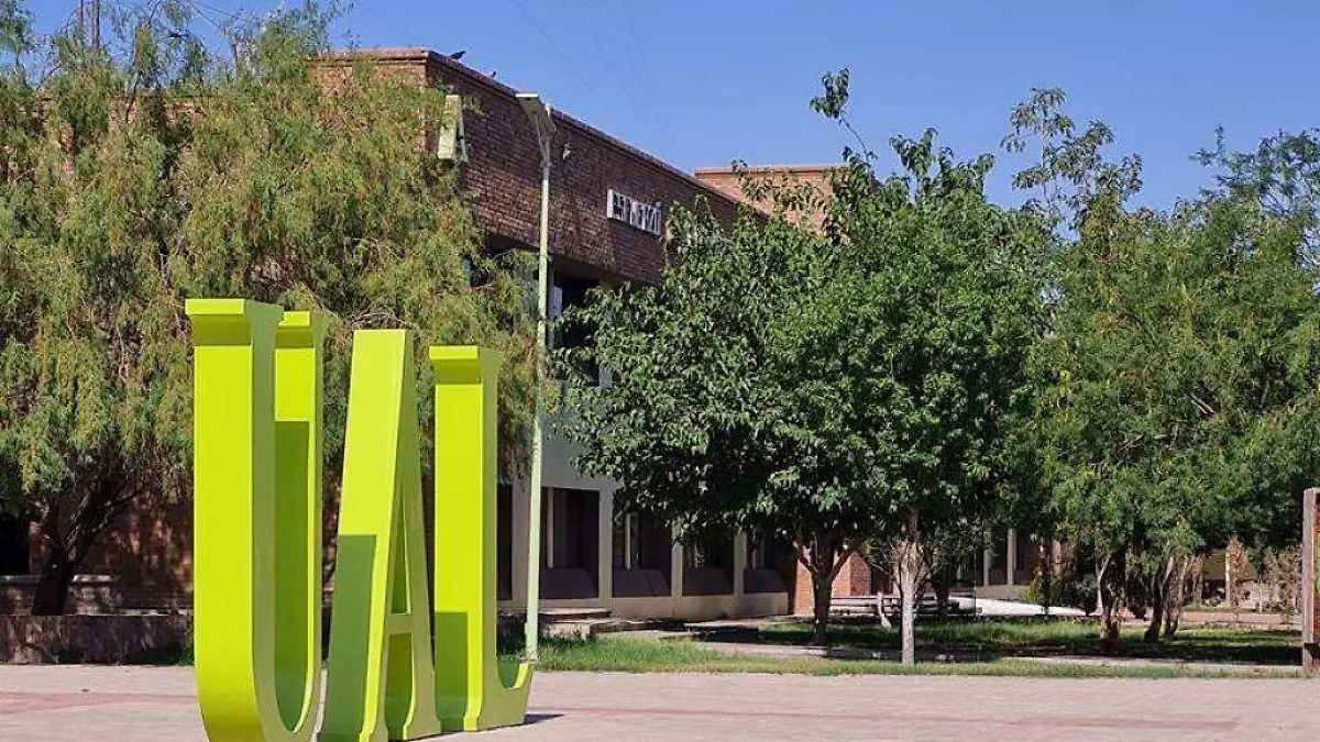 WhatsApp Image 2021-06-04 at 3.13.31 PM