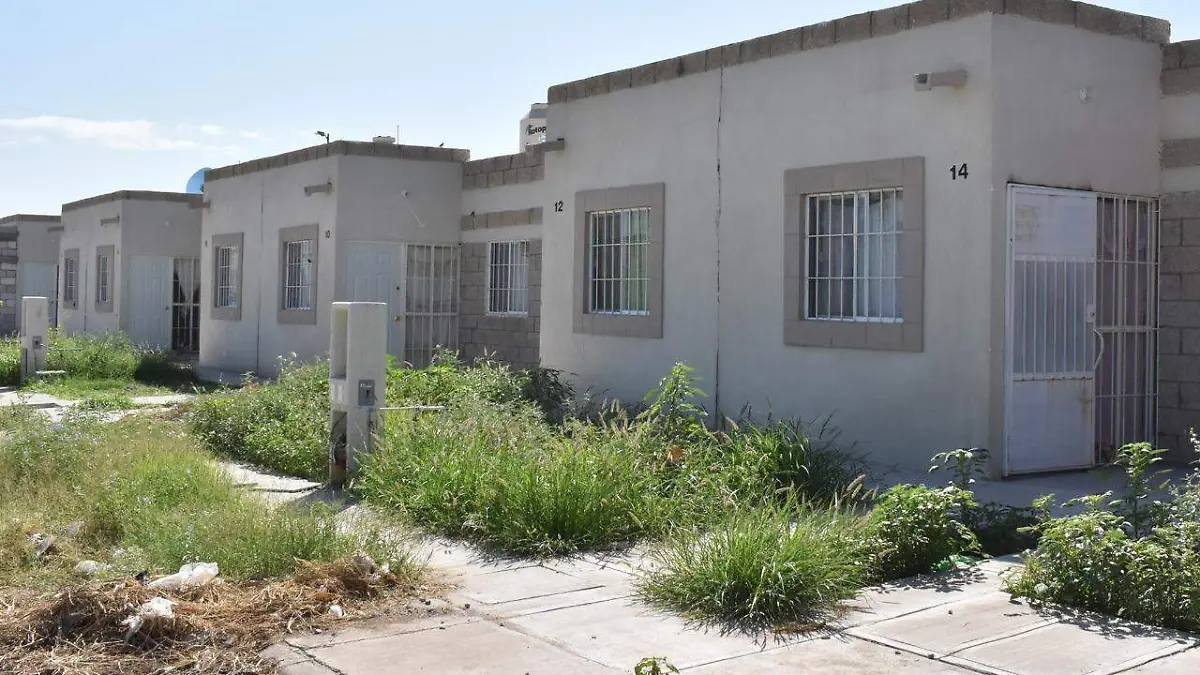 WhatsApp Image 2022-05-09 at 5.47.23 PM