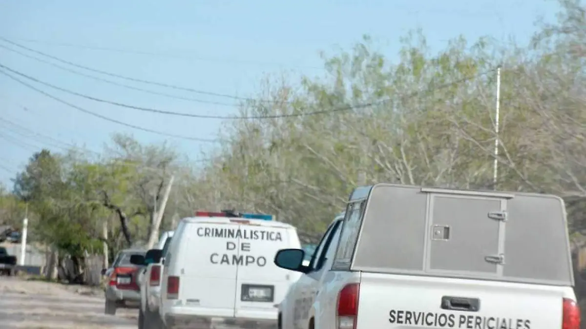 WhatsApp Image 2018-02-12 at 10.29.39 (2)