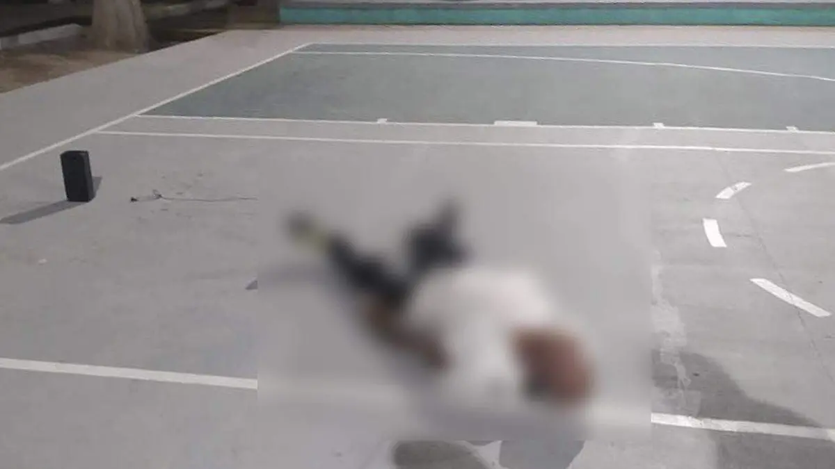 93384860_2304293219878064_265628123641413632_n