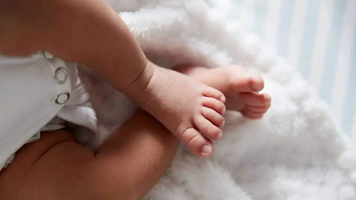 bebe