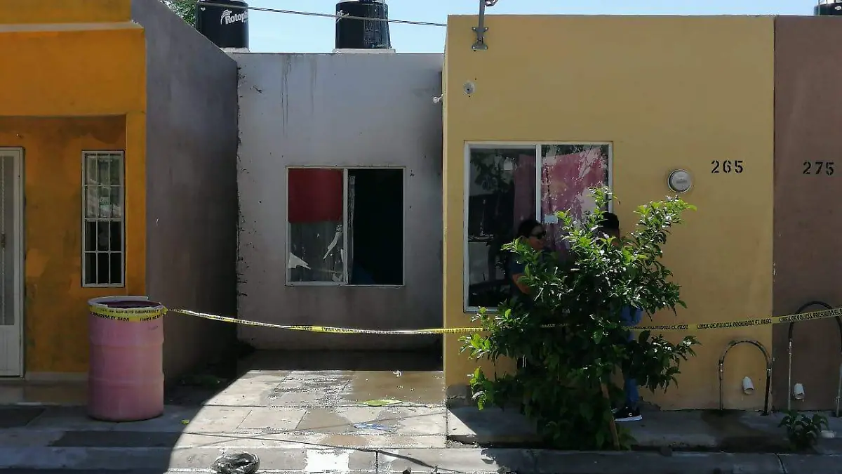 WhatsApp Image 2020-07-25 at 11.33.27 AM