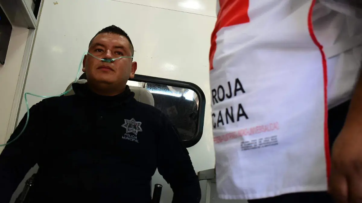 WhatsApp Image 2022-02-09 at 12.42.59 PM