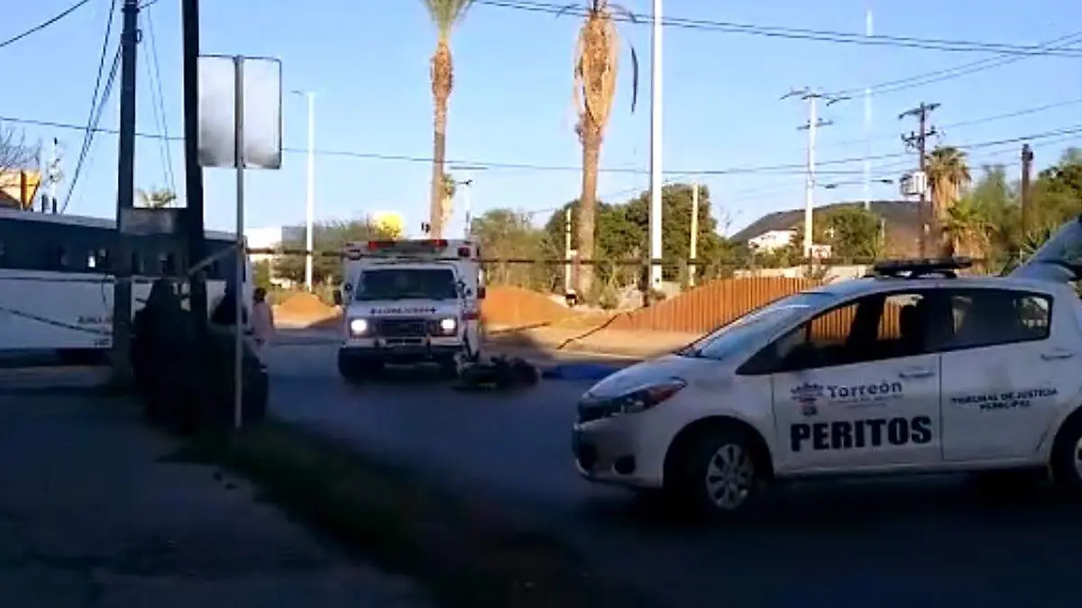 muerta atropellada