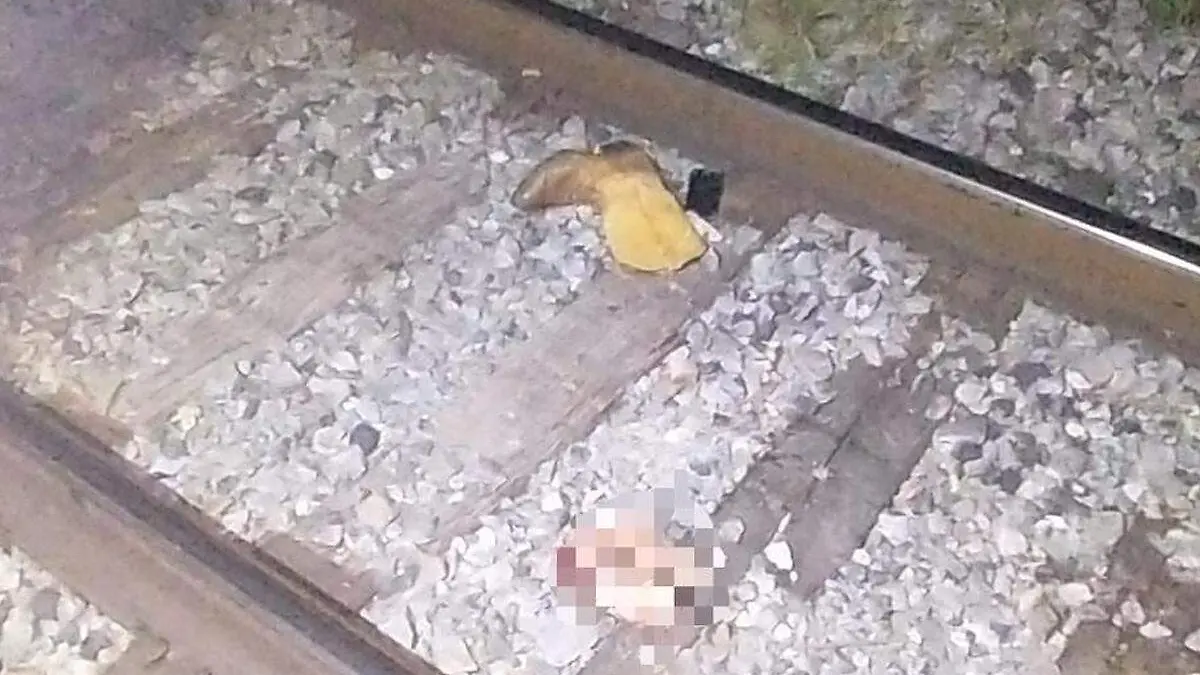 hombre-arollado-tren