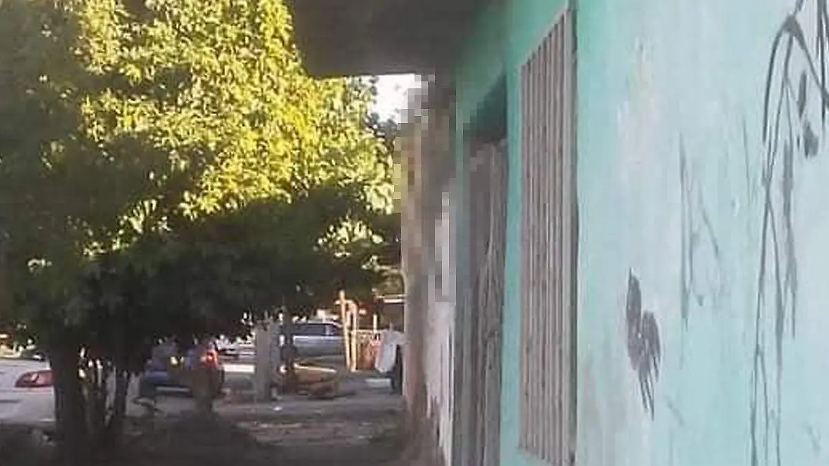 perro-muerto-Torreón