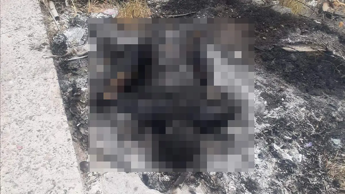 muerto-calcinado-Torreón