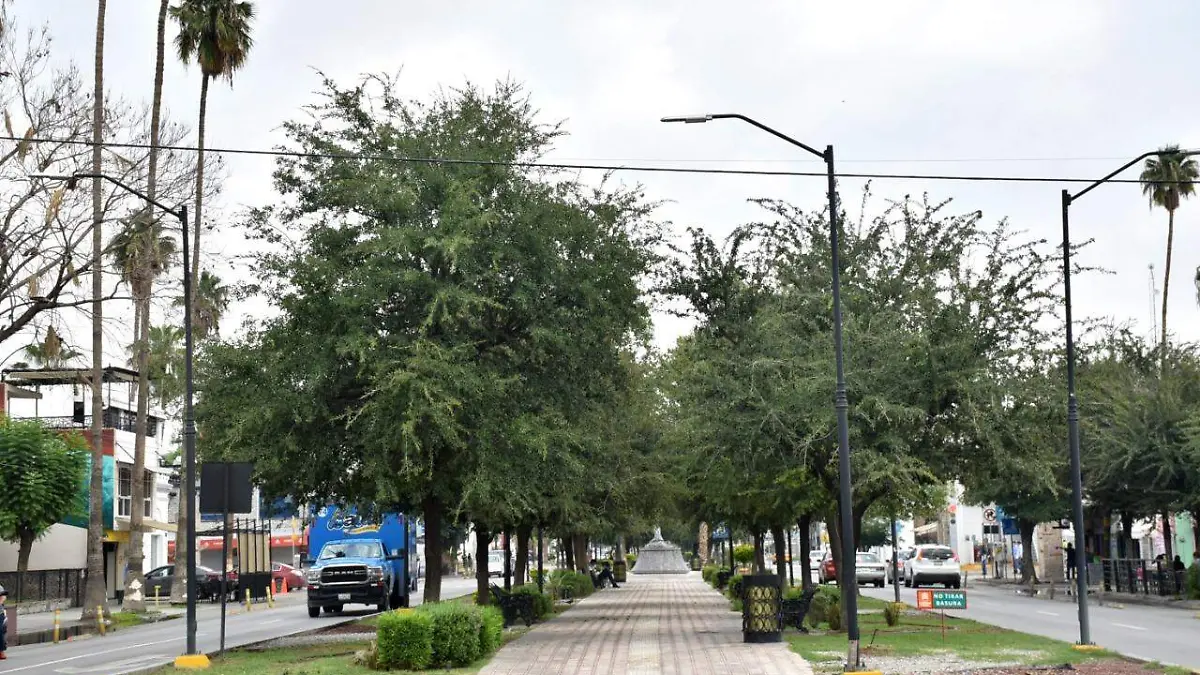 WhatsApp Image 2022-11-08 at 3.30.47 PM