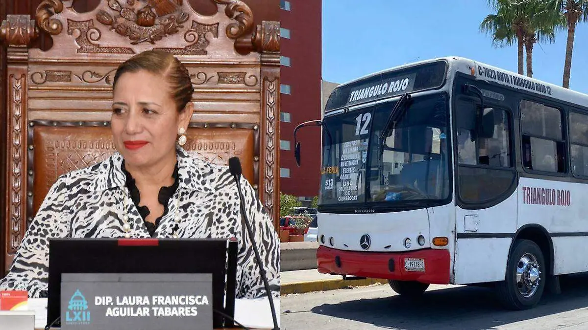 diptuda-Laura-Aguilar-lanza-exhorto-contra-aumento-de-pasajes-en-Torreón