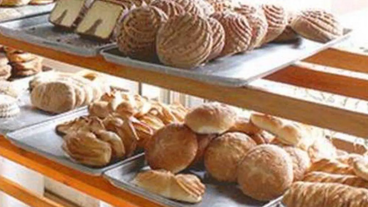 clausuran-panadería-con-presencia-de-cucarachas-y-más-en-Torreón